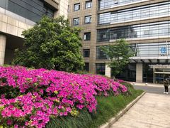-浙江大学医学院附属邵逸夫医院(钱塘院区)
