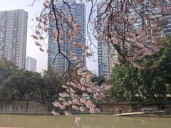 -红星桥(地铁站)