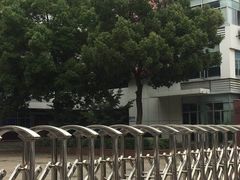 -锡师附小学(学前街校区)