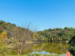 -广州市石门国家森林公园