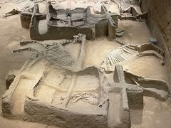 -洛阳周王城天子驾六博物馆