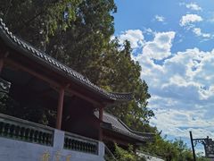 -广州神农草堂中医药博物馆