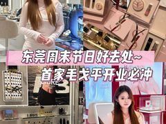 -东莞君尚