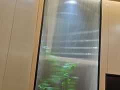 -点石家装(新化店)
