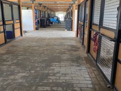 -北京群众马术培训基地