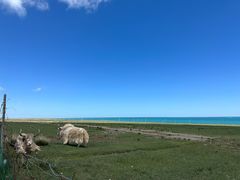 -青海湖国家重点风景名胜区