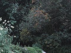 -成都杜甫草堂博物馆