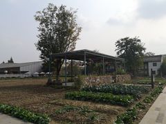 -田园东方蜜桃村的田野营地