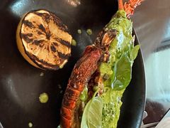 -db Bistro & Oyster Bar by Daniel Boulud(滨海湾金沙店)