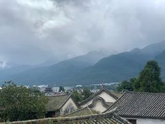 -喵屿·大理花园猫咖