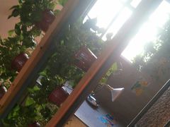 -比格比萨自助(国展店)