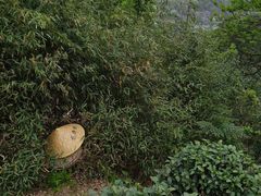 -十里琅珰