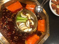 -蜀九香火锅(彩虹店)