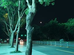 -博林天瑞喜来登酒店·西丽尚膳