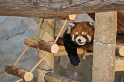 -Zoolung Zoolung动物主题公园(海信广场店)