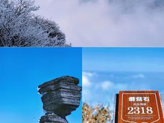 -梵净山旅游区