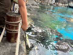 -海合安成都极地海洋公园