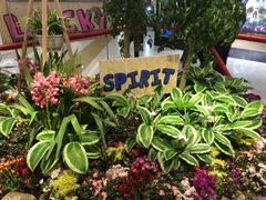 -凯德广场(学府店)