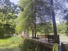 -东湖落雁景区