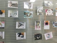 -美美宠物诊疗中心·异宠·骨科(滨江东信分院)