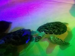 -华夏文旅西安度假区