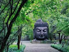 -杭州植物园