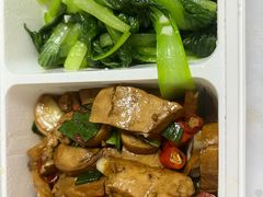 -深圳野生动物园