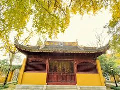 -苏州上方山国家森林公园