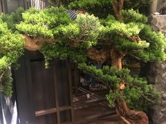 -湊湊火锅·茶憩(东城万达店)