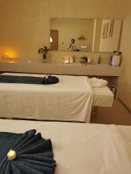 -隐逸SPA