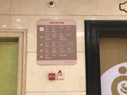 -北京安琪