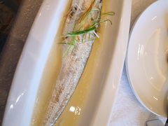 -莆鑫海鲜城(浏河店)