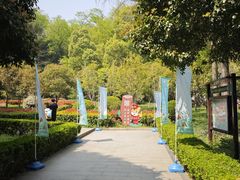 -上海佘山国家森林公园天马山园