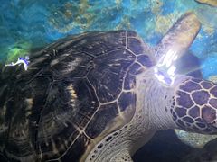 -多彩贵州城极地海洋世界