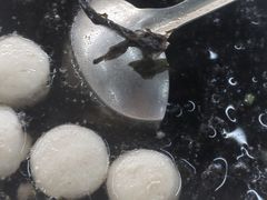 -众味海鲜大排档·活海鲜·潮汕味(南澳店)