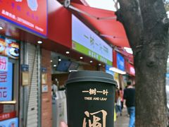 -一树一叶·福建茶档(石鼓路店)