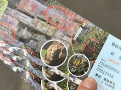 -攀枝花公园