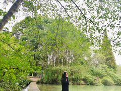 -桤木河湿地公园