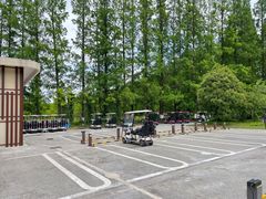 -黄海国家森林公园