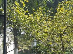 -杭州西湖柳莺里酒店·闻莺厅