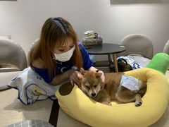 -逗柴咖啡屋·狗咖猫咖宠物桌游
