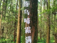 -同里国家湿地公园