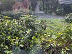 -木子山庄·安徽省老字号·中国炖锅宴