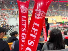 -东莞银行篮球中心