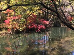 -本溪老边沟风景区