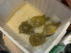 -百味地锅鸡(二店·财校分店)