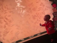 -沈阳海洋探索中心