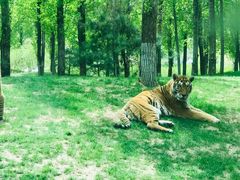 -北京野生动物园