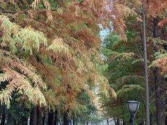 -云龙湖旅游景区