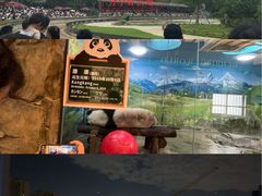 -上海野生动物园老虎餐厅